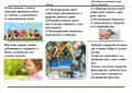 Миниатюра для версии от 07:50, 7 марта 2018