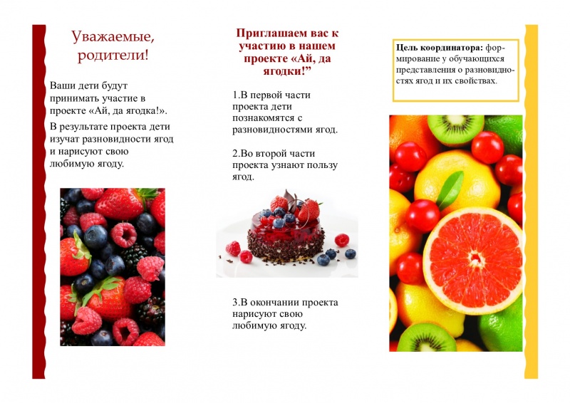 Файл:Буклет Самофалова 03032018-2.jpg
