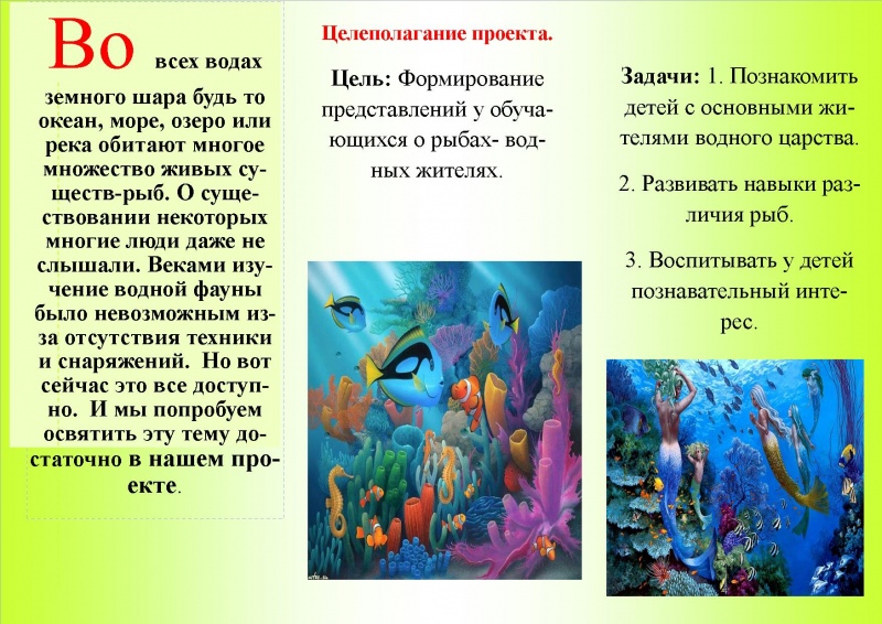 Файл:Буклет Полинская 03.03.2018-2.jpg