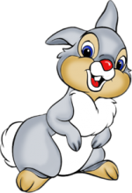 0 92493 1812ab6f M.png