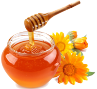 Honey jar.png