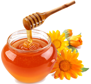 Honey jar.png