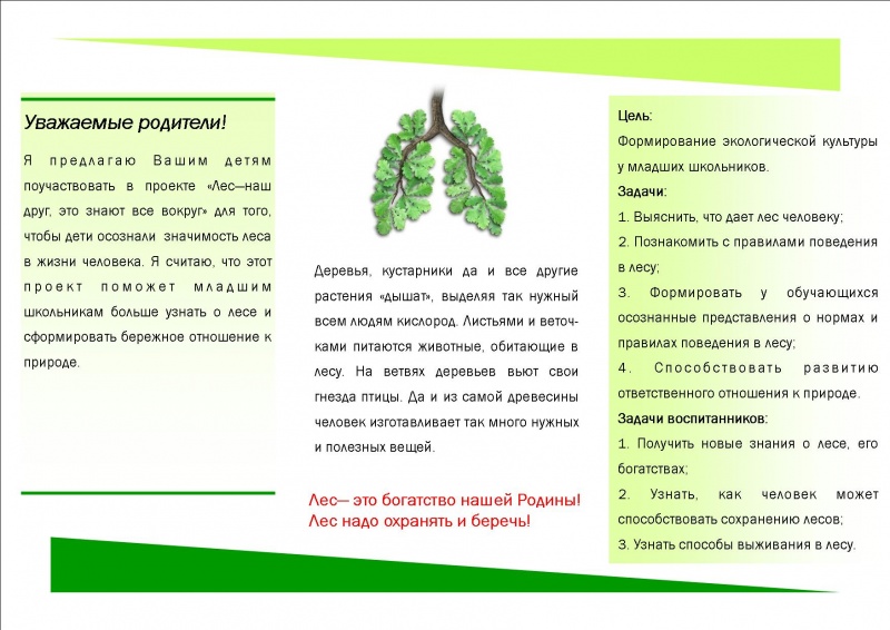 Файл:Буклет Качаева 21.03.2016 2.jpg