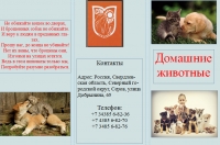 Буклет Васильевой.png