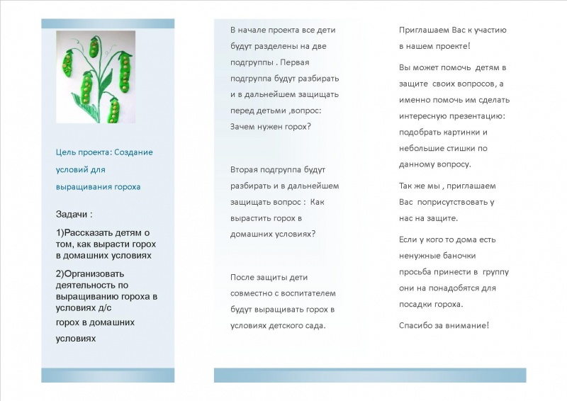 Файл:Буклет2.Юманова Вероника.jpg